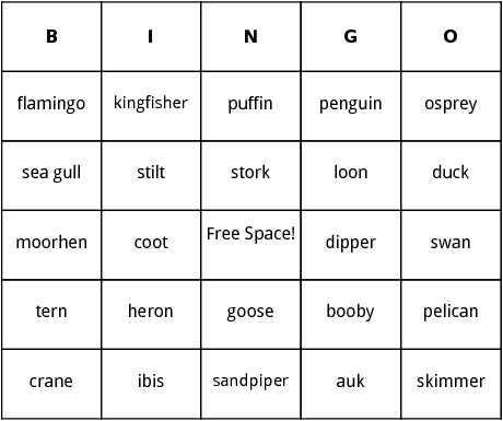 water birds bingo