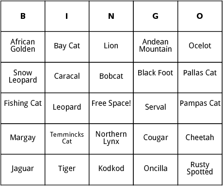 wild cats bingo 