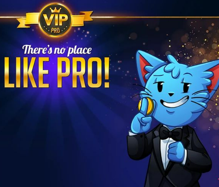 Bingo Blitz VIP pro